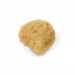 aposan-esponja-natural-infantil